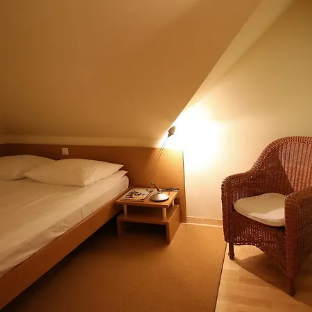Apartments Villa Boltez Kranj Room photo